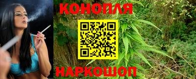 прущие крисы Севастополь