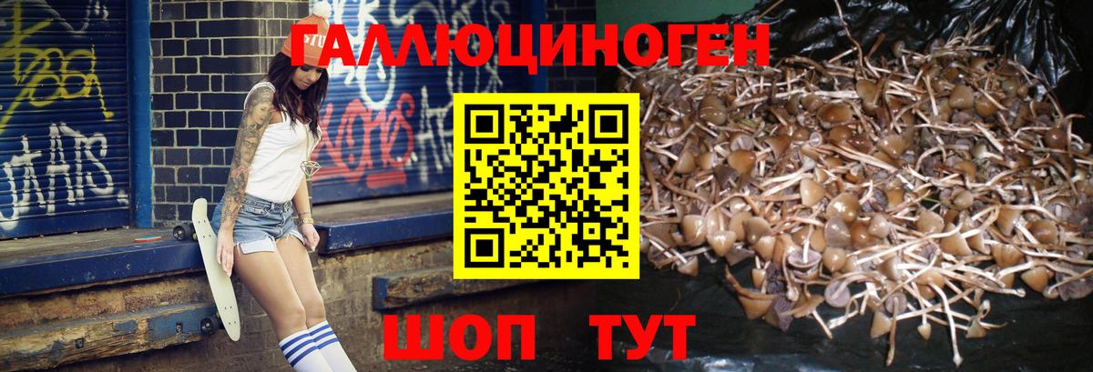 Псилоцибиновые грибы мухоморы Рузаевка