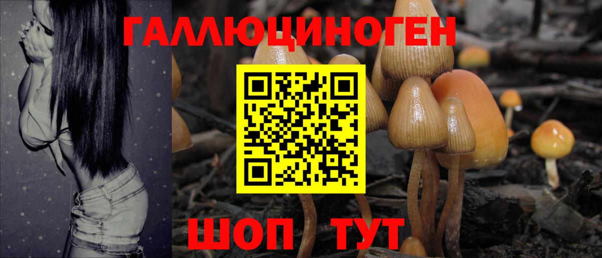 Рузаевка  Галлюциногенные грибы Psilocybe  Вход с VPN  Галлюциногенные грибы GOLDEN TEACHER 